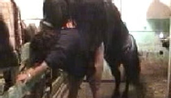 A small horse fucked a woman in several attempts