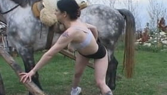 Piebald horse on a ranch fucked a slutty girl