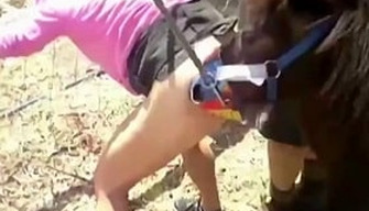 The woman was tied up and bent at the fence, forcing her to fuck with a pony