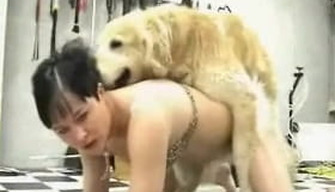 Shaggy dog gaiement baise deux femmes Japonaises dans les chattes humides